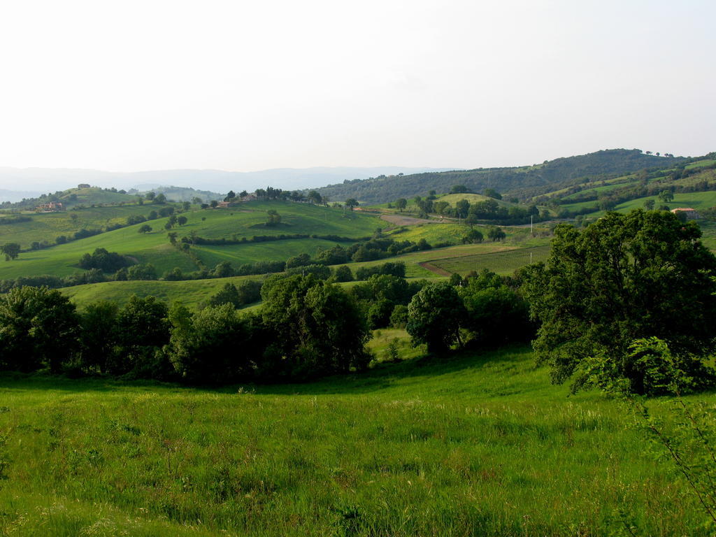 Poggio Della Quercia Villa Manciano Kültér fotó